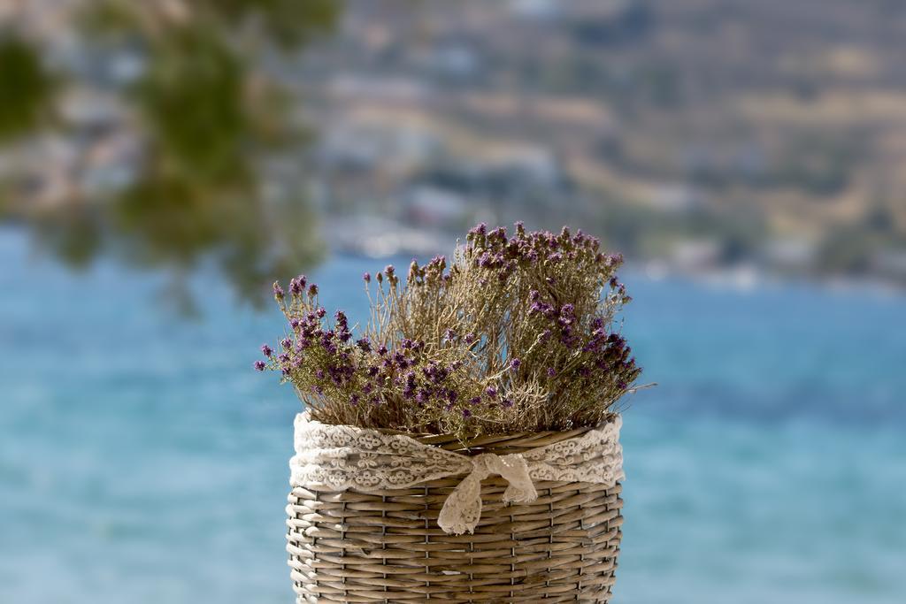 "Di Mare" Hotel & Suites Posidhonía Esterno foto
